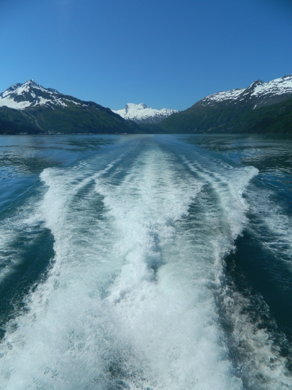 Boat spray on Glacial Quest tour. Photo credit: Jordan Schwartz